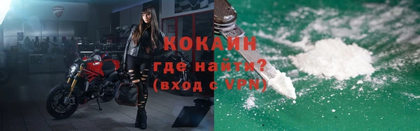PSILOCYBIN Михайлов
