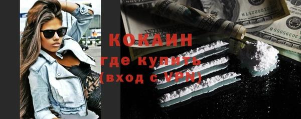 PSILOCYBIN Михайлов