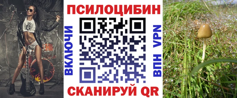 Псилоцибиновые грибы мицелий Черноголовка