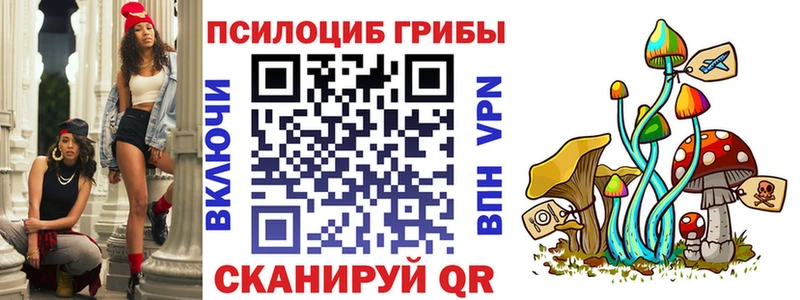 цена   Черноголовка  Галлюциногенные грибы прущие грибы 